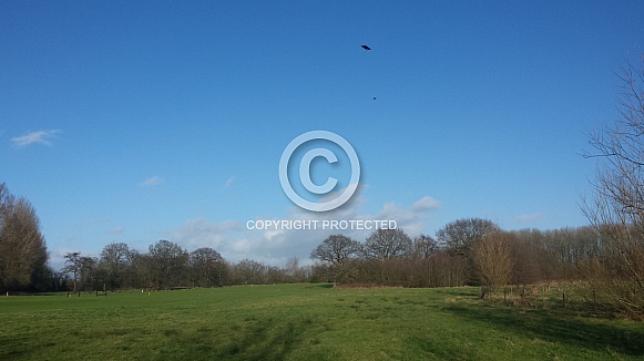 Skyscape/Clouds. This photo is free to download. As artists, we sometimes find ourselves needing reference material for skies or cloud formations, so hopefully these may be of use.