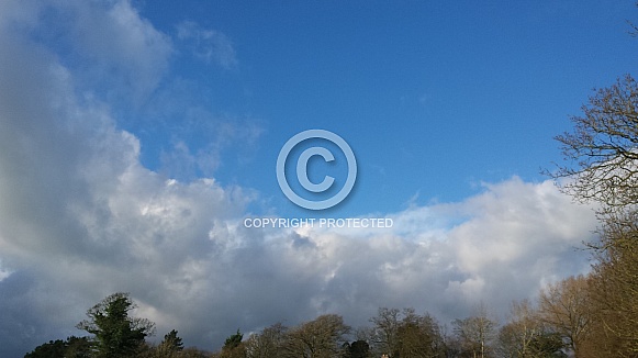 Skyscape/Clouds. This photo is free to download. As artists, we sometimes find ourselves needing reference material for skies or cloud formations, so hopefully these may be of use.