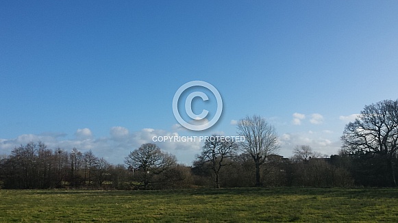 Skyscape/Clouds. This photo is free to download. As artists, we sometimes find ourselves needing reference material for skies or cloud formations, so hopefully these may be of use.