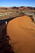 Sossusvlie - Namib Desert - Namibia