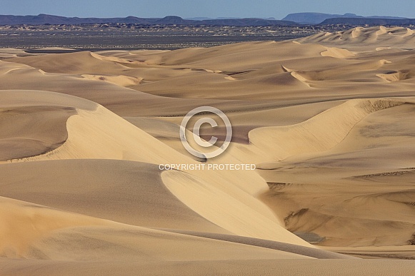 Sand Dunes - Namib Desert - Namibia
