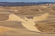 Sand Dunes - Namib Desert - Namibia