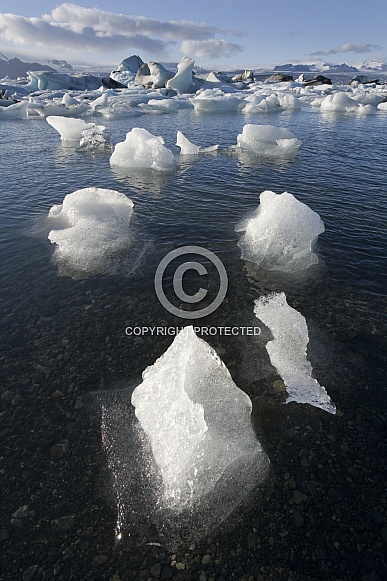 Melting Icebergs in Jokulsarlon - Iceland