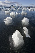 Melting Icebergs in Jokulsarlon - Iceland