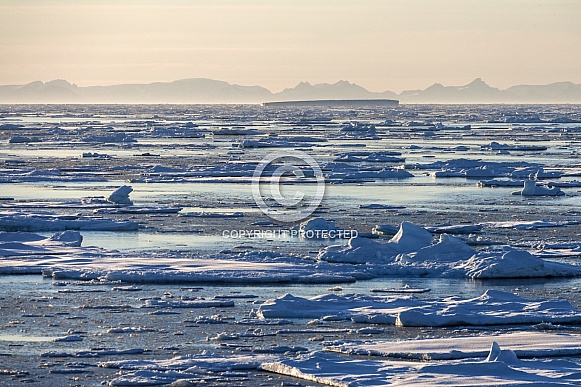 Sea ice off the coast of eastern Greenland