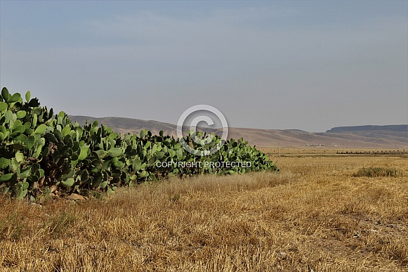 Landscape of the Eastern Rif Mountains (Morocco)