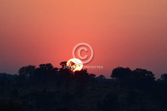 Sunset in bushveld