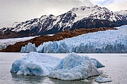 Grey Glacier - Patagonia - Chile
