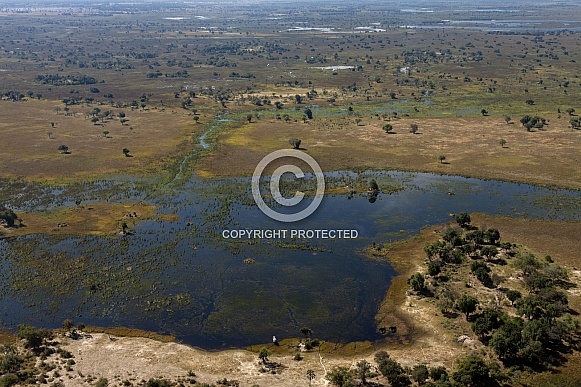 Aerial view - Okavango Delta - Botswana