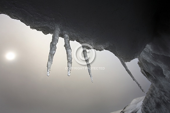 Icicles dripping water - Antarctica
