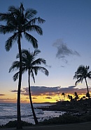 Poipu - Kauai - Hawaii