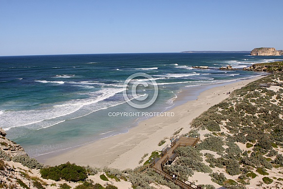 Seal Bay, South Australia