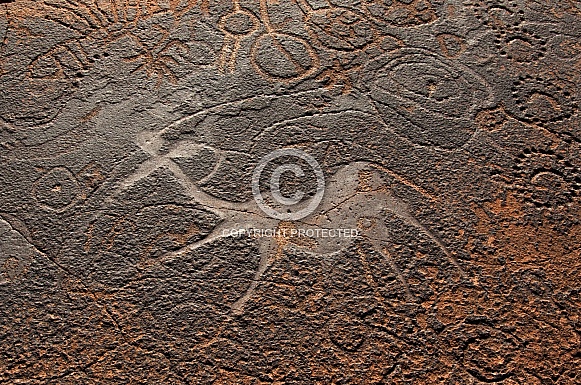 Petroglyphs - Damaraland - Namibia