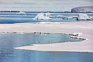 Lamaire Channel - Antarctica