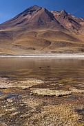Laguna Miniques and Cerro Miscanti Volcano - Atacama Desert