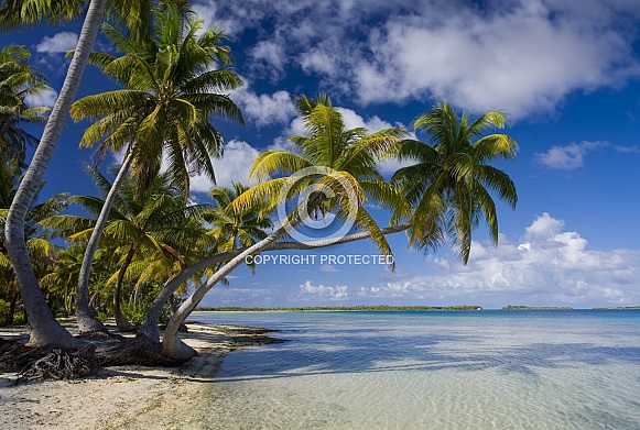 Cook Islands - South Pacific Ocean