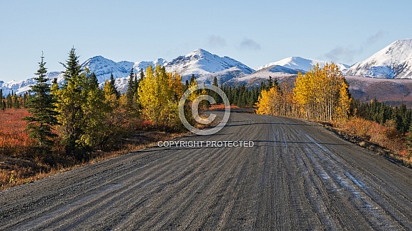 Road View of Autumn Landscape at Denali National Park, Alaska