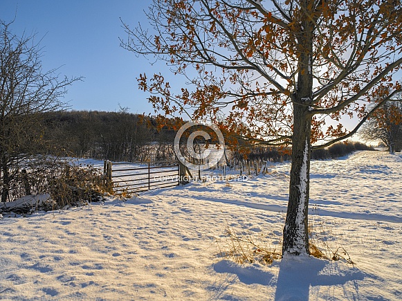 Winter Weather - Yorkshire - England