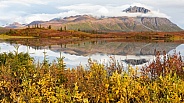 Fall Scenery along the Denali Highway, Alaska