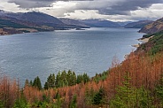 Loch Carron - Scotland