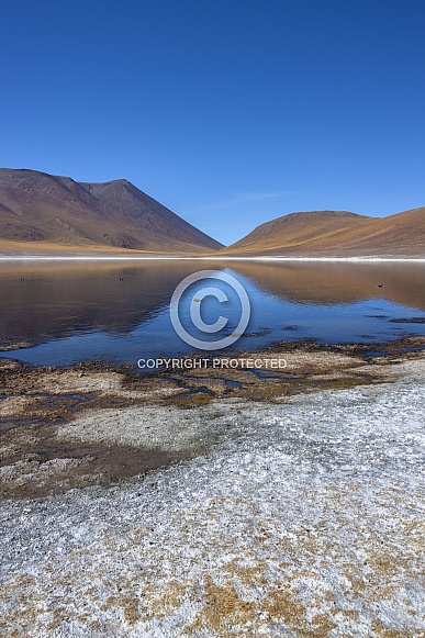 Laguna Miniques - Atacama Desert