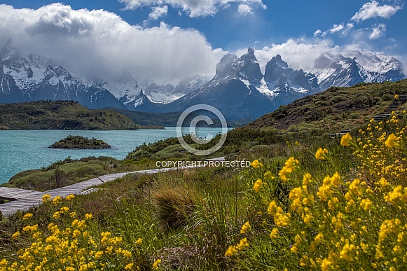 Torres del Paine National Park - Patagonia - Chile
