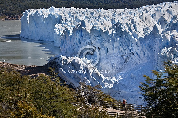Perito Moreno Glacier - Patagonia