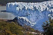 Perito Moreno Glacier - Patagonia