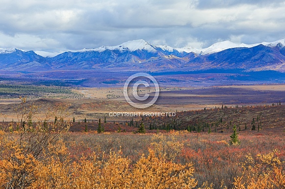 Scenic Viewpoint of Denali National Park Alaska