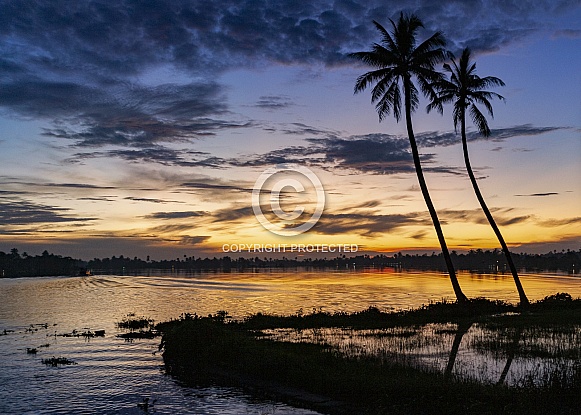 Kerala Backwaters - India