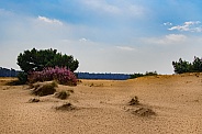 Sand drift in the Netherlands