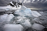 Antarctic Peninsula - Antarctica