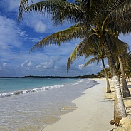 Beach on the Yucatan Peninsula - Mexico