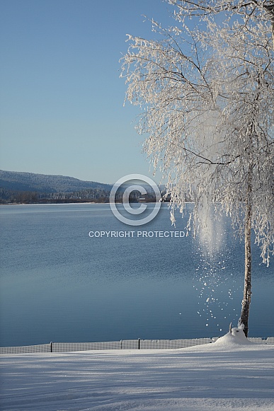 Winter at Canim Lake, BC Canada