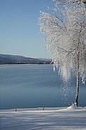 Winter at Canim Lake, BC Canada