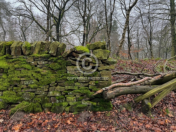 Moss covered dry stone wall