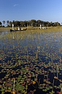 Okavango Delta - Botswana