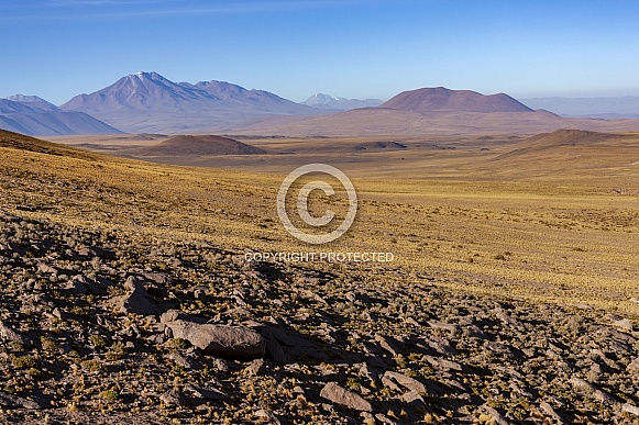 The high Altiplano - Atacama Desert - Chile