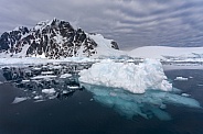 Sea ice - Antarctic Peninsula in Antarctica