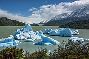 Torres del Paine - Patagonia - Chile