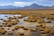 Mount Licancabur Volcano - Atacama Desert - Chile