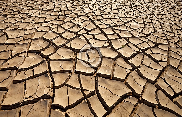 Environmental Disaster - Drought