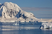 Cuverville Island - Antarctica