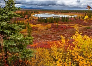 Denali Highway Alaskan Wilderness in Autumn