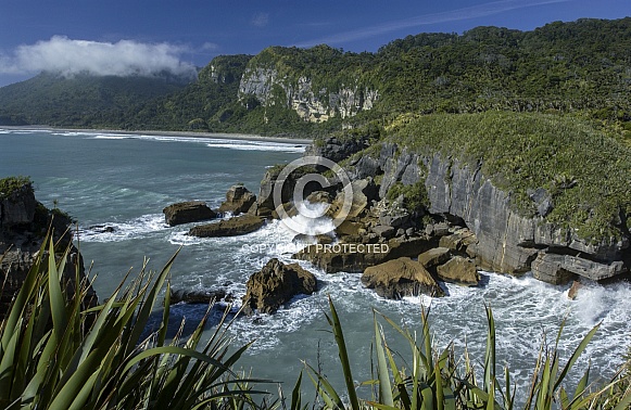 Paparoa National Park - New Zealand