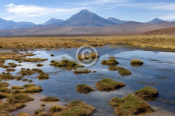 Atacama Desert region of northern Chile