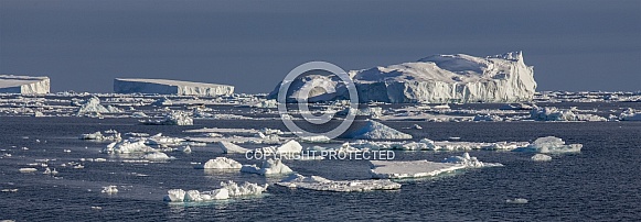 Weddell Sea - Antarctica