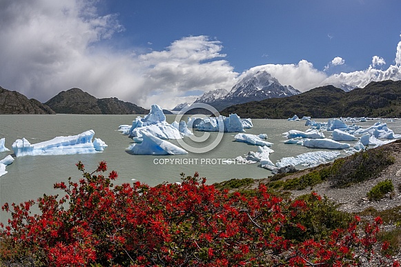 Torres del Paine National Park, Patagonia