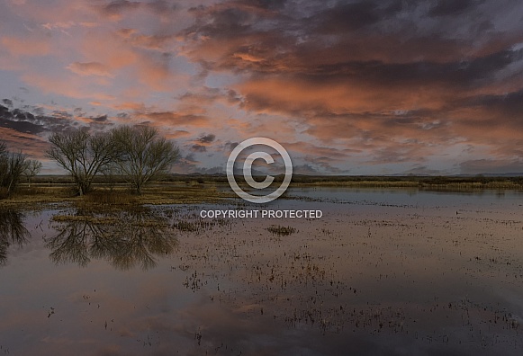 Sunset with beautiful color and clouds over a lake in New Mexico