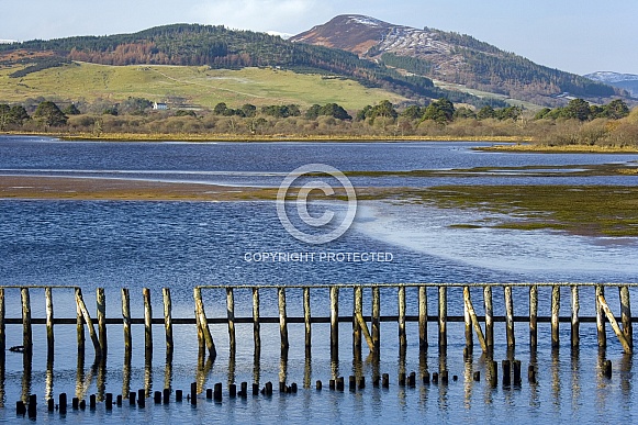 Loch Fleet - Scotland